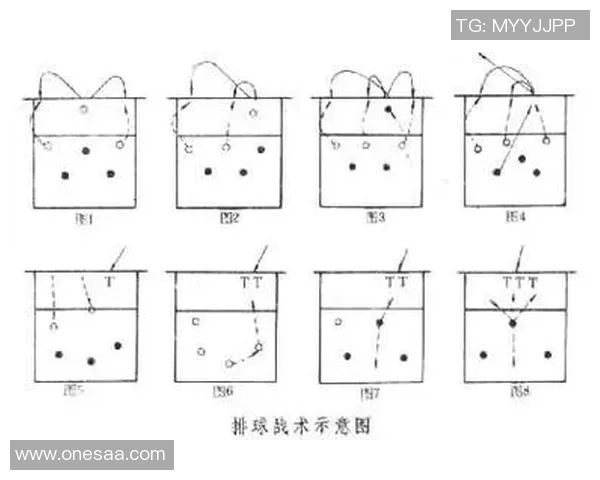 上海排球队意识对比深度解析与战术发展趋势探讨